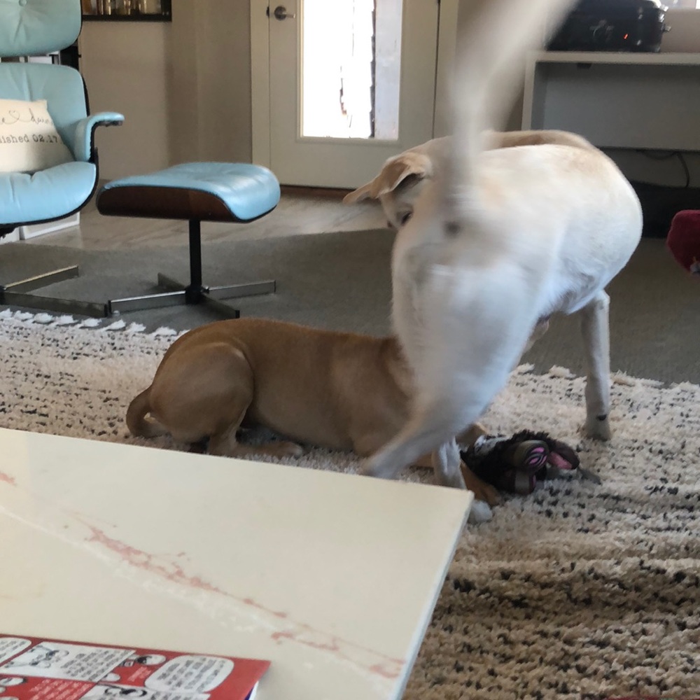 Meet your Posher, Scott